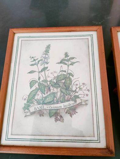 Vintage Herb Botanical pictures
