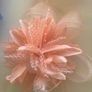 Hair fascinators Image 4
