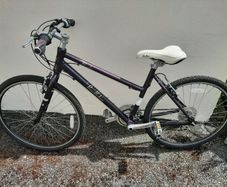 Pendleton Bike