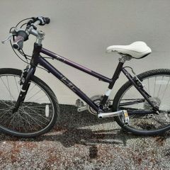 Pendleton Bike
