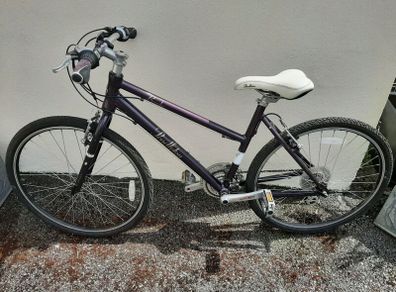 Pendleton Bike