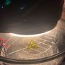 Halogen Oven Image 4