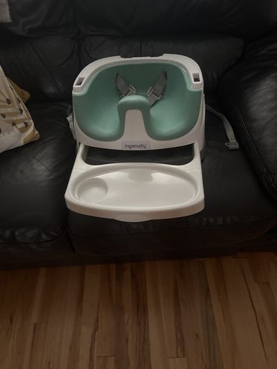 Ingenuity baby seat