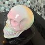 skull decor Image 2