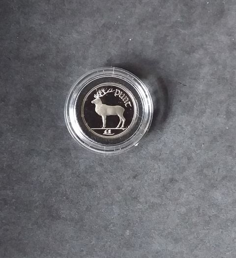 Official Irish Cupro-Nickel Proof, One Pound Coin - Boxed with Certificate