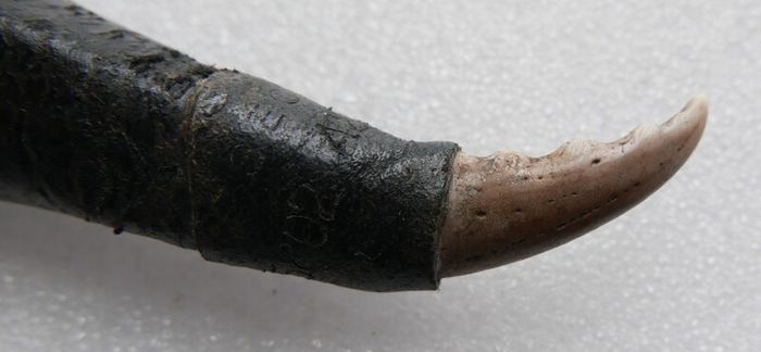 Vintage European Victory Pure Steel Knife Dagger Sword Antique