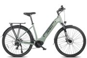 Fafrees FM9 Electric Bike