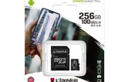 Kingston Canvas Select Plus Micro SD 100MB/s 256GB