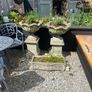 outdoor garden Image 5
