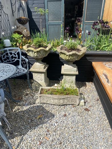 outdoor garden