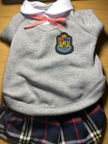 Dog dress size XL
