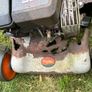 Petrol Lawn Mover with Briggs & Stratton Engine Image 7