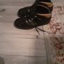 timberland Image 2