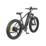 DYU King 750 Mountain E-Bike Image 4