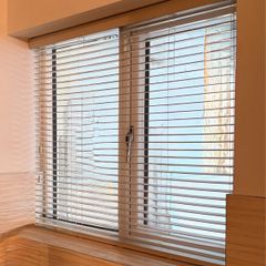 Venetian Blinds