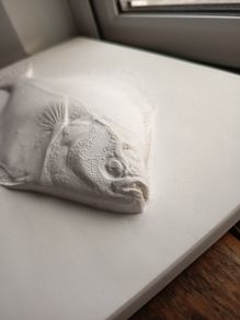 Flatfish Plaster Wall Sculpture by Bold Howell