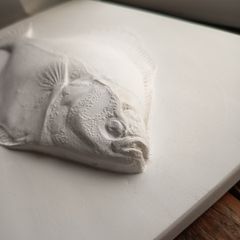 Flatfish Plaster Wall Sculpture by Bold Howell
