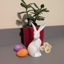 Some-bunny to Love Image 2