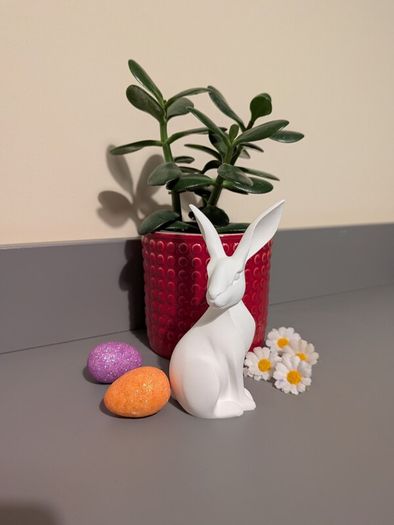 Some-bunny to Love