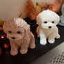 Dog soya candle Image 2