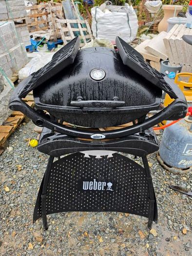 Weber Q2000 Barbecue Cast Iron Cooking Grates.  Cost 750 euros