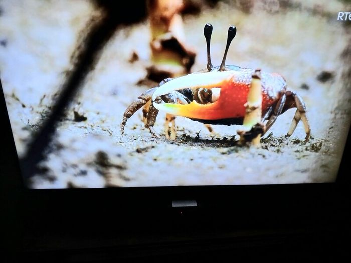 Samsung 40 inch smart hdmi tv.
