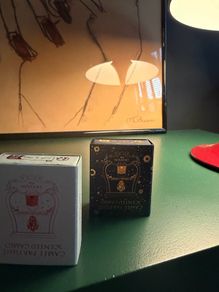 Trudon candle melts