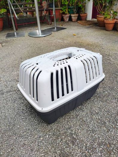 small pet carrier
