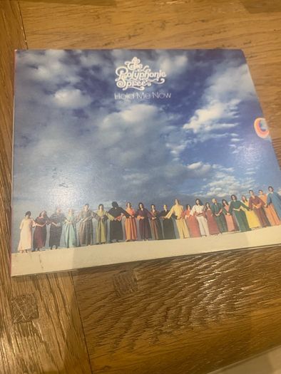 The Polyphonic Spree - Hold Me Now