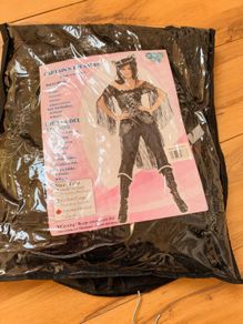 captains treasure womens Adult costume