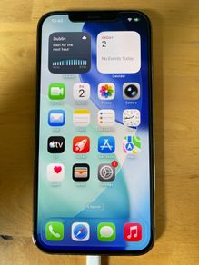 iphone 12 pro max 256g mint condition