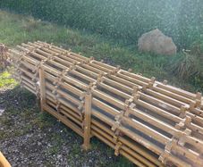 Scaffolding