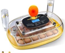 24 Egg Incubator, Automatic Egg Turner with LED Candler, Temperature  Humidity Control, 360 View Clear Window, Auto Water Refill, Poultry Eggs Incubators for Hatching Chicks Ducks Goose Quail