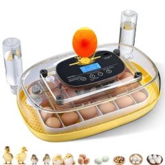 24 Egg Incubator, Automatic Egg Turner with LED Candler, Temperature  Humidity Control, 360 View Clear Window, Auto Water Refill, Poultry Eggs Incubators for Hatching Chicks Ducks Goose Quail
