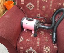 dog hairdryer