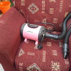 dog hairdryer