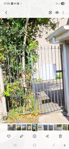 Wrought iron gate