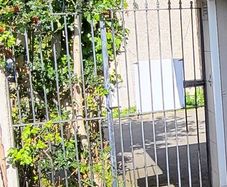 Wrought iron gate