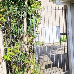 Wrought iron gate