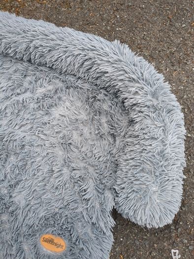 dog bed