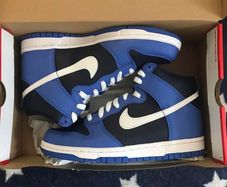 Nike Dunk High