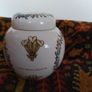 Masons Commemorative ginger jar/1981/ Charles & Diana Image 4