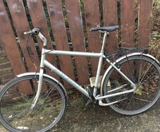 Raleigh pioneer