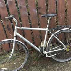 Raleigh pioneer