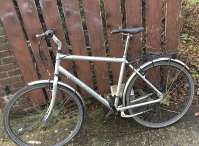 Raleigh pioneer