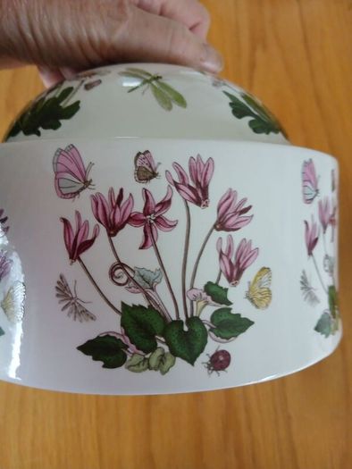 Rare Portmeirion Botanic Food Cover/cheese bell