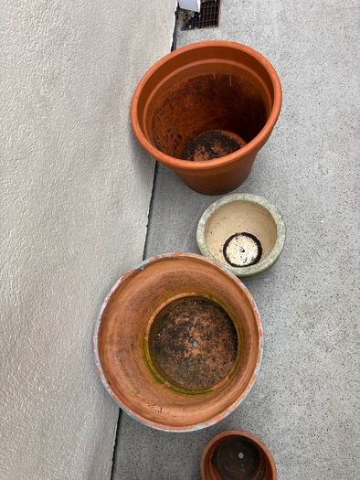 x3 Large Terracotta pots x2 Small ceramics pots