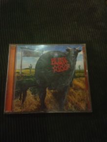 Blink 183 Dude Ranch Cd