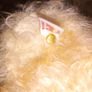 Steiff teddy bear Image 4