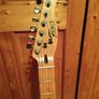 Fenix Vintage Thinline Telecaster Image 3